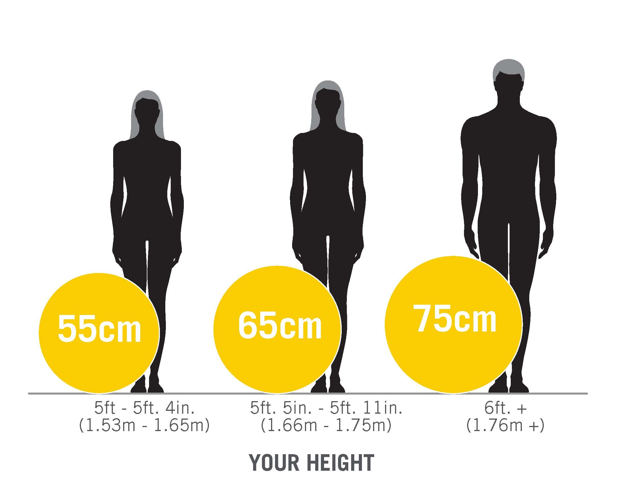 stability ball size guide